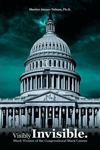 Cover image for Visibly Invisible