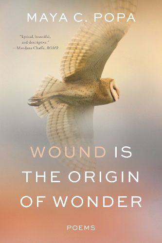 Cover image for Wound Is the Origin of Wonder