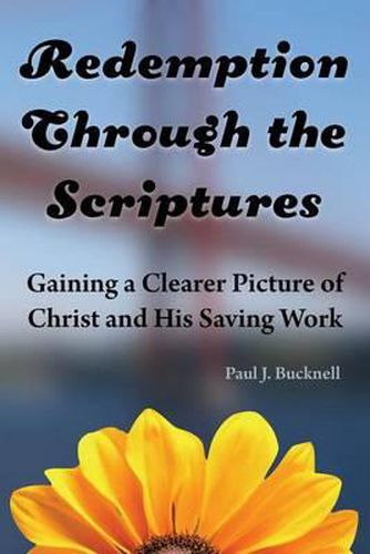 Cover image for Redemption Through the Scriptures: Gaining a Clearer Picture of Christ and His Saving Work