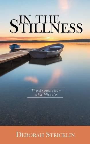 Cover image for In the Stillness