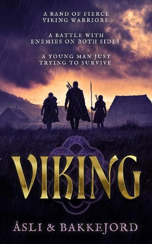 Cover image for Viking