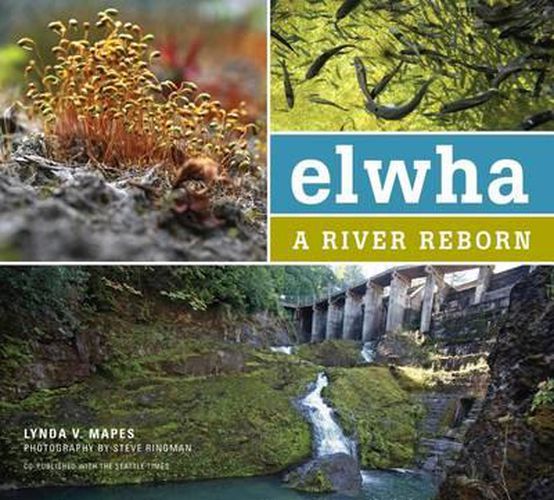 Cover image for Elwha: A River Reborn