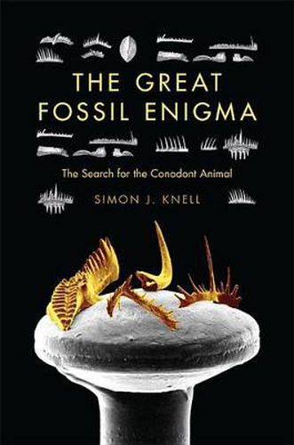 Cover image for The Great Fossil Enigma: The Search for the Conodont Animal