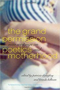 Cover image for The Grand Permission