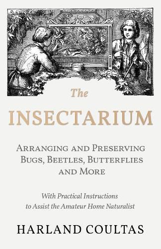 The Insectarium - Collecting, Arranging and Preserving Bugs, Beetles, Butterflies and More - With Practical Instructions to Assist the Amateur Home Naturalist