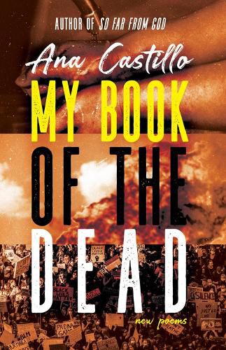 Cover image for My Book of the Dead