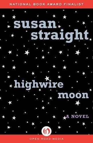 Cover image for Highwire Moon
