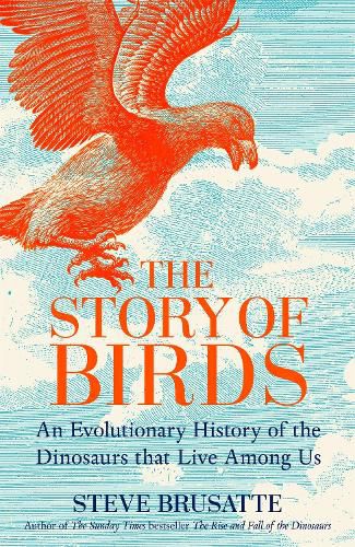 Cover image for The Story of Birds
