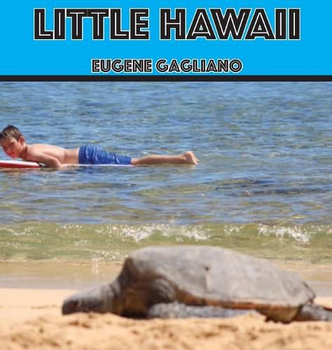Cover image for Little Hawaii