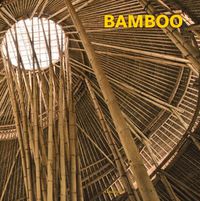 Cover image for Bamboo