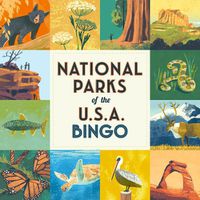 Cover image for National Parks of the USA Bingo