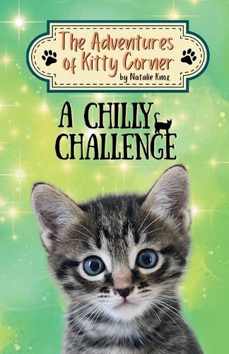 Cover image for A Chilly Challenge