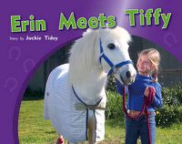 Cover image for Erin Meets Tiffy