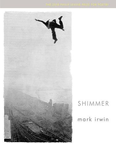 Cover image for Shimmer