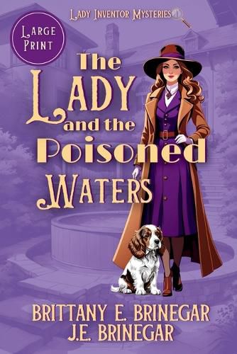 Cover image for The Lady and the Poisoned Waters
