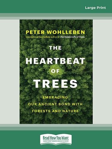 The Heartbeat of Trees: Embracing Our Ancient Bond With Forests and Nature
