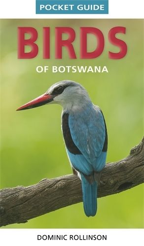 Cover image for Pocket Guide Birds of Botswana