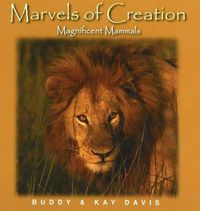 Cover image for Marvels of Creation: Magnificent Mammals