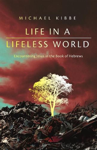 Cover image for Life in a Lifeless World