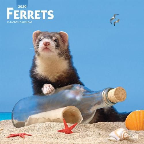 Ferrets 2020 Square Wall Calendar