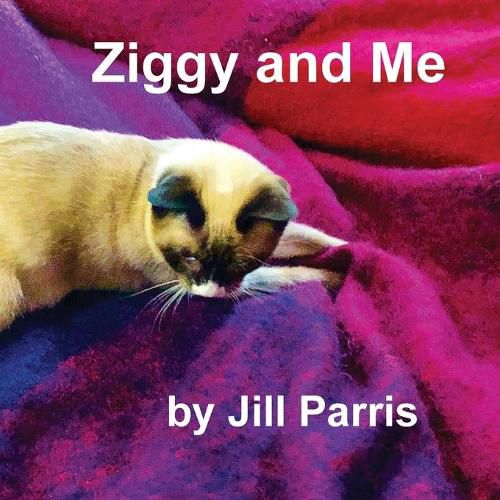 Cover image for Ziggy and Me