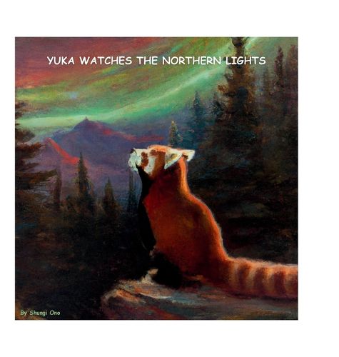 Cover image for Yuka watches the Northern Lights