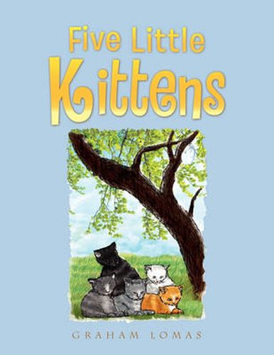 Cover image for Five Little Kittens