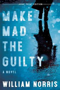 Cover image for Make Mad the Guilty