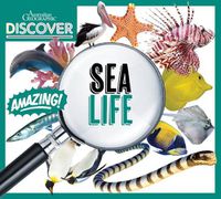 Cover image for Australian Geographic Discover: Sea Life