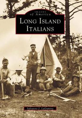 Cover image for Long Island Italians