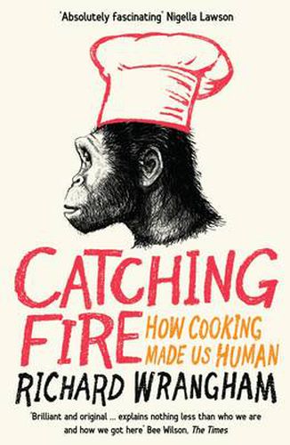 Cover image for Catching Fire: How Cooking Made Us Human