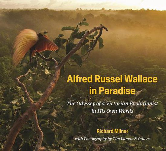 Cover image for Alfred Russel Wallace in Paradise