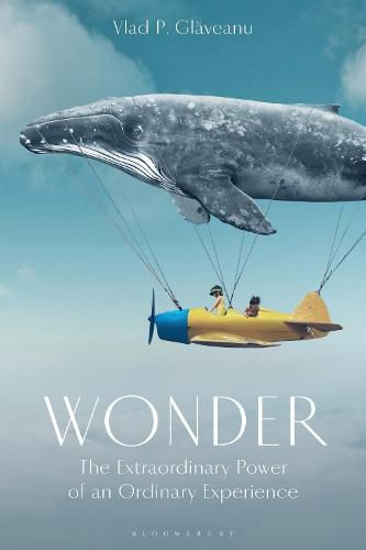 Cover image for Wonder: The Extraordinary Power of an Ordinary Experience