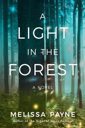 Cover image for A Light in the Forest: A Novel