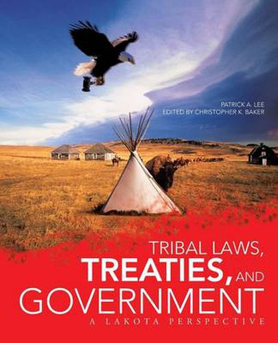 Cover image for Tribal Laws, Treaties, and Government