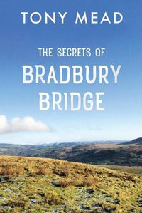 Cover image for The Secrets of Bradbury Bridge