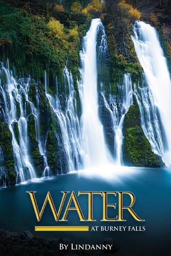 Cover image for Water at Burney Falls