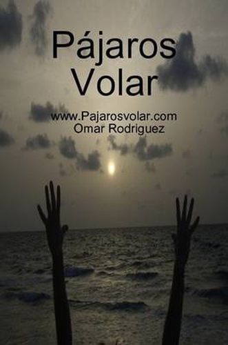 Cover image for Pajaros Volar
