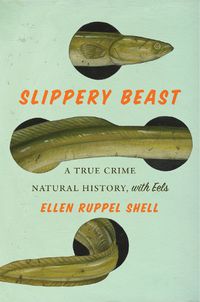 Cover image for Slippery Beast