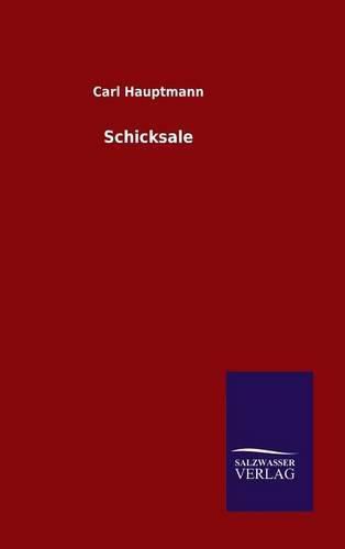 Cover image for Schicksale