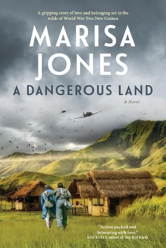 Cover image for A Dangerous Land