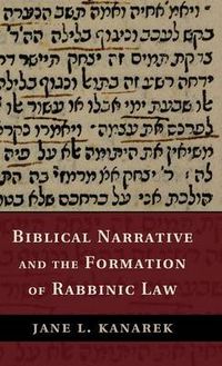 Cover image for Biblical Narrative and the Formation of Rabbinic Law