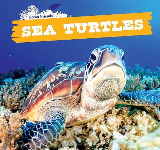 Cover image for Sea Turtles