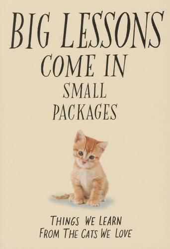 Cover image for Big Lessons Come in Small Packages