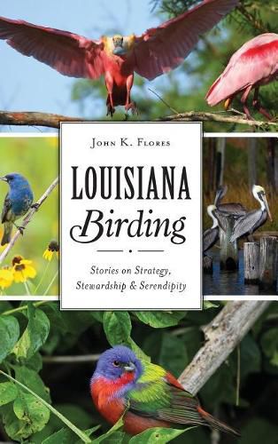 Cover image for Louisiana Birding: Stories on Strategy, Stewardship and Serendipity