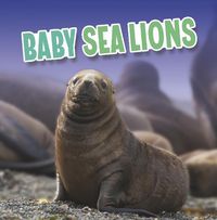 Cover image for Baby Sea Lions