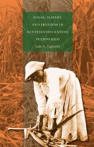 Cover image for Sugar, Slavery, and Freedom in Nineteenth-Century Puerto Rico