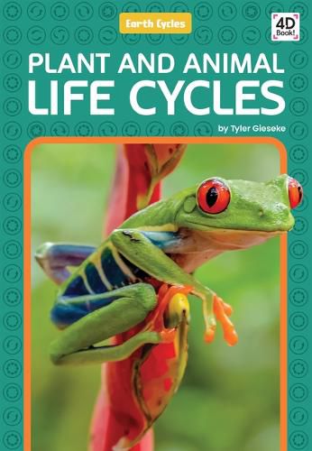 Cover image for Plant and Animal Life Cycles