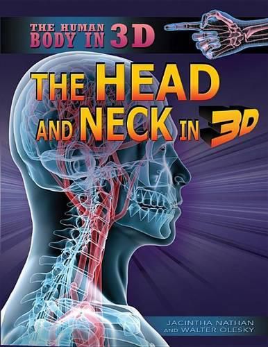Cover image for The Head and Neck in 3D