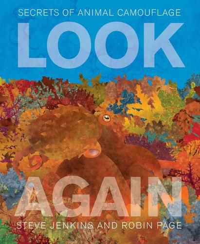 Cover image for Look Again: Secrets of Animal Camouflage